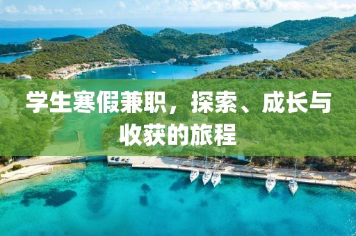 学生寒假兼职，探索、成长与收获的旅程