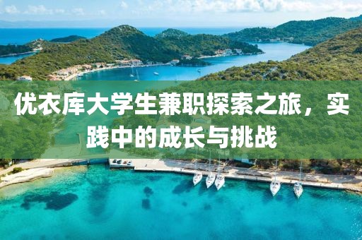 优衣库大学生兼职探索之旅，实践中的成长与挑战